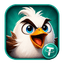 birdcash.io